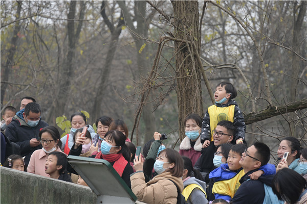 图二读者参观灵长区.jpg