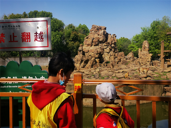 图二 孩子们在参观日本猴.jpg