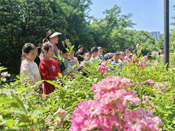 图七 老师带领孩子们观察花朵的形态.jpg